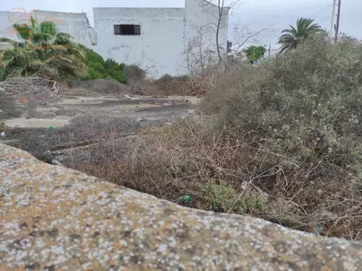 Parcela/Finca en San Bartolome — 4