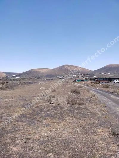 Parcela/Finca en La Asomada — 3