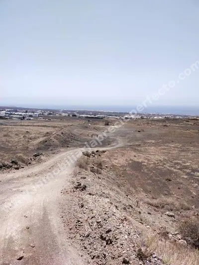 Parcela/Finca en La Asomada — 4