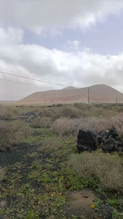 Parcela en La Vegueta — 3