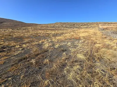 Parcela/Finca en El Mojon — 4