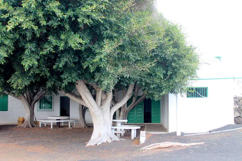 Casa en Ye