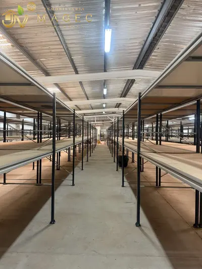 Nave industrial en Playa Honda — 3